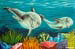 dolphins_in_coral